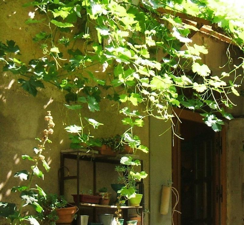 La Vigne Bleue Hotel Olonzac Exterior photo